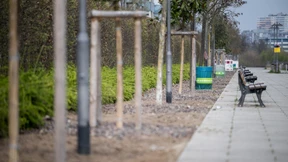 Frankfurt reißt das Pflaster raus