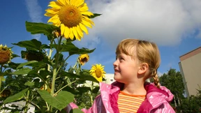 Keine Kindergeld-Kürzung für EU-Ausländer