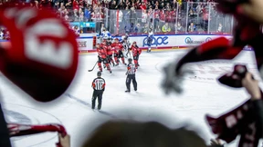 Das Comeback der Haie