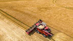 Ein bisschen Hitze und endlich auch Regen