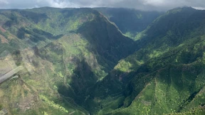 Vier Tote bei Absturz eines Hubschraubers auf Militärgelände in USA