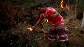 Bolsonaro und die Brandstifter