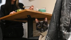 Und dann ließ sie die Katze aus dem Sack