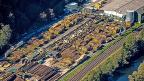 Sägewerke bleiben auf Bauholz sitzen