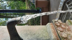 Der Duft von hartgekochtem Ei