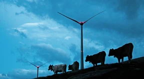 Im Zweifel für das Windrad