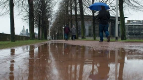 Gruppe in Dresden hetzt Hund auf Asylbewerberin