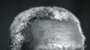 Vergib nicht meinen Händen