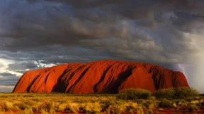 Die Henkerin des Giftschlangenmannes