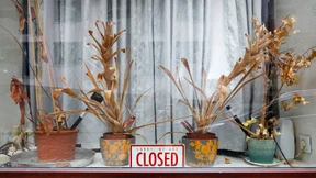 Heimat - Heilmittel gegen Globalisierung?