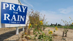 Mandeln aus der Dürrezone