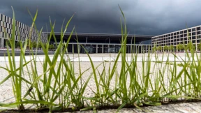 Eine Chronik des Scheiterns