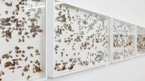 Blätter nummerieren