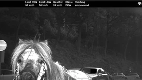 Pferd geblitzt - Aber kein Bußgeldbescheid