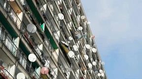 Wer am lautesten kräht, bekommt die Aufmerksamkeit