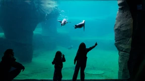 Mehr Besucher als vor Corona