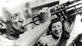 Taubenschwärme gegen Gewehrkugeln