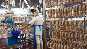 Was machen Schweizer Fleischbetriebe besser?