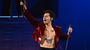 Harry Styles’ Lifestylemarke bietet nun auch Vibratoren an