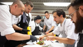 Iss wie die Katze, trink wie der Hund