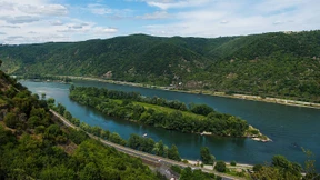 Gegen ausländische Konkurrenz wirkt reiner Wein