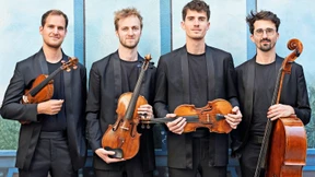 Auf der Spur der entwickelnden Variation