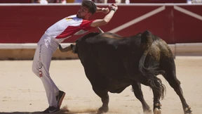 Jeder Kampfstier hat einen Namen und eine Geschichte