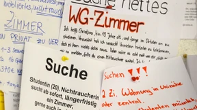 Wenn sich das Nest leert