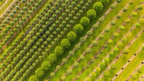 Schluss mit den Denkverboten!