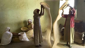 Weizen wird immer billiger – und Afrika hungert weiter