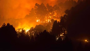 Waldbrand auf Gran Canaria außer Kontrolle