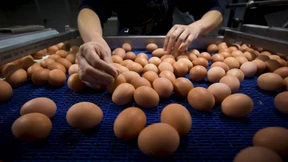 In Deutschland werden die Eier knapp