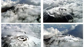 Bergflüchter, Walrosstod, Artenschwund