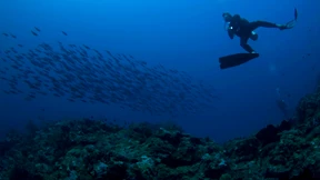 Suche Geld,  biete geniale Idee