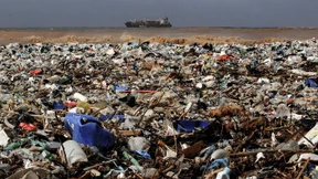 Umweltschäden verursachen ein Viertel aller Todes- und Krankheitsfälle