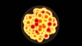 Das Periodensystem mit vier Neuzugängen