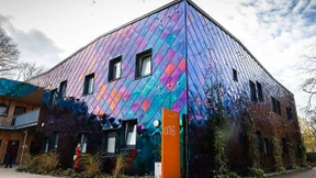 Mann greift schwangere Frau im Park an