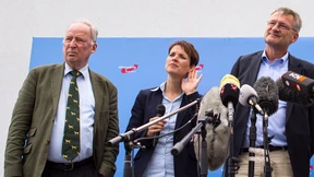 Einflussreiche AfD-Politiker gegen Petry