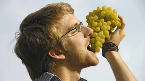 Die Tutti Frutti des Brexits