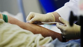 Tag für Tag muss Blut fließen