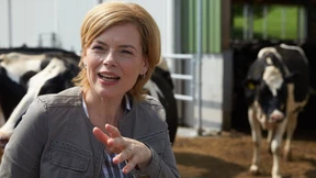 Ein ganz fauler Kuhhandel