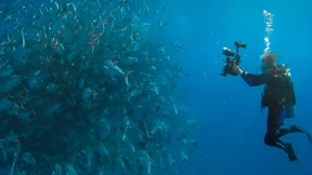 In die Tiefe oder in die Fläche?