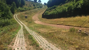 Die grüne Lebensader