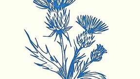 Wie du in den Kübel rappelst