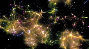 Die Macht des Analogen