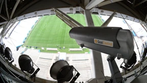 Mehr Rechte für Löw & Co.