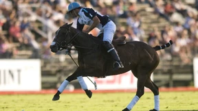 Spielen mit den Klonen