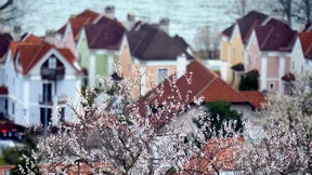 Testen für den Tourismus