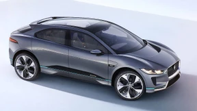 Die Katze ist unter Strom