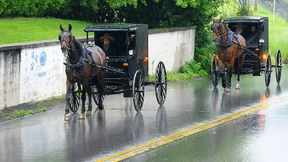 Ordnung ist das ganze Leben